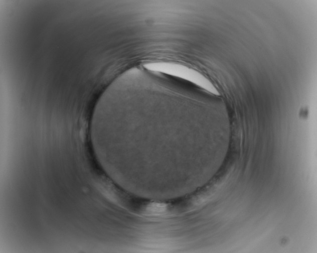 X0000103160227200809192101