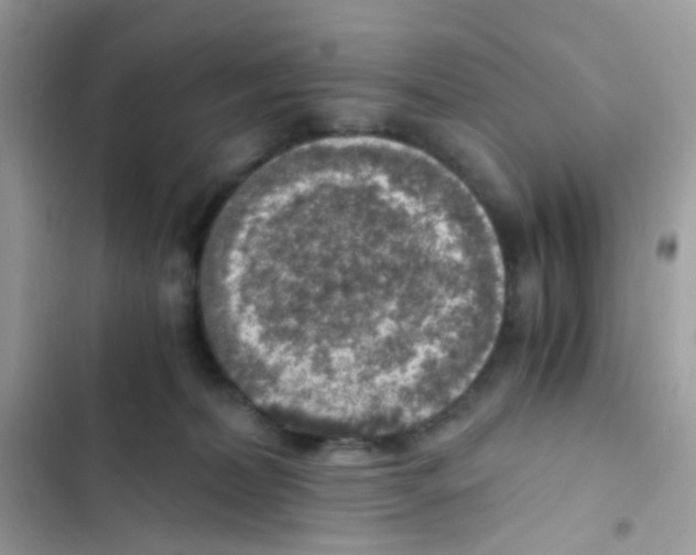 X0000103160228200809192101