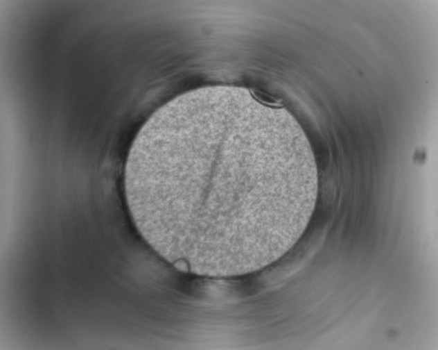 X0000103160229200809192101