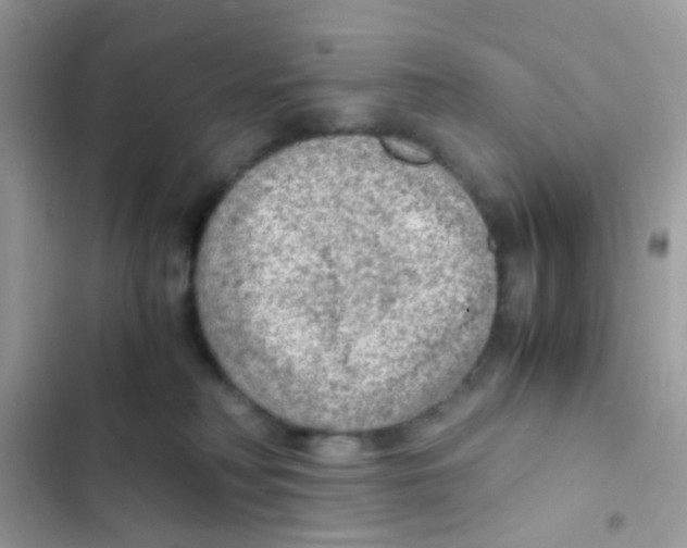 X0000103160230200809192101