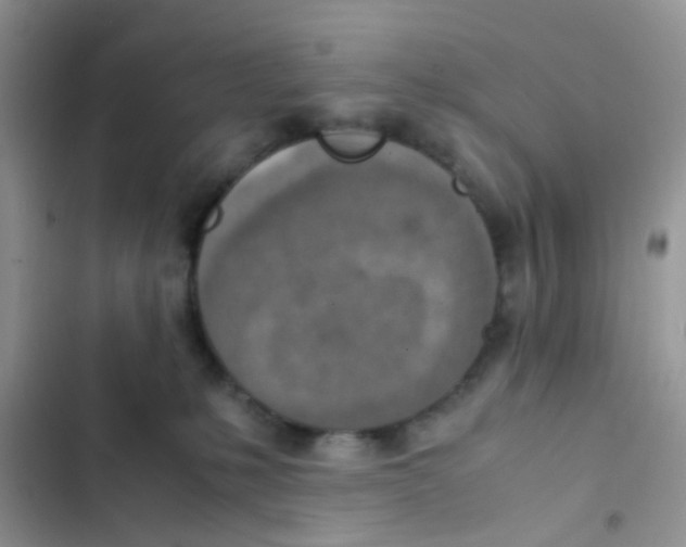 X0000103160231200809192101
