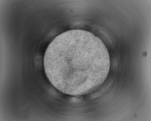 X0000103160232200809192101