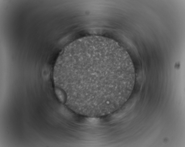 X0000103160233200809192101