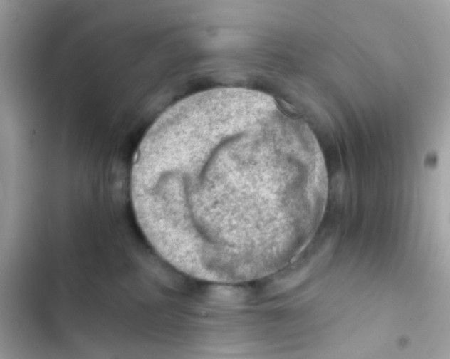 X0000103160234200809192101