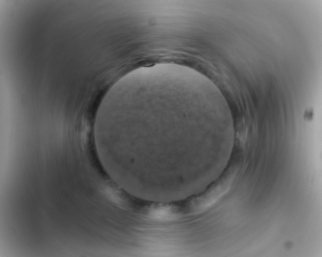 X0000103160235200809192101