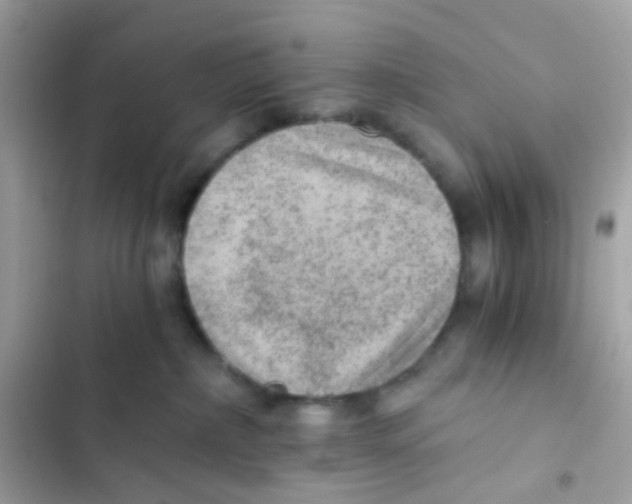 X0000103160236200809192101