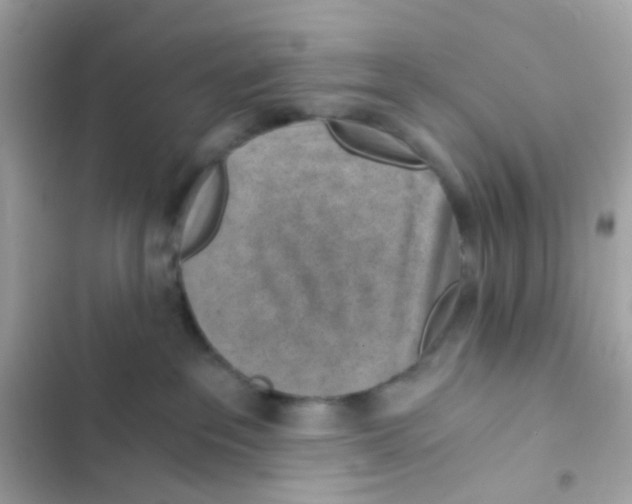 X0000103160237200809192101