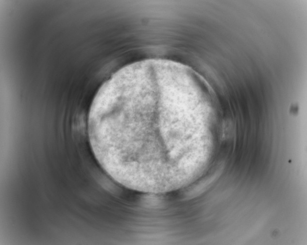 X0000103160238200809192101