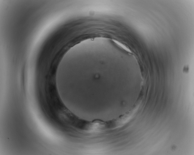 X0000103160239200809192101