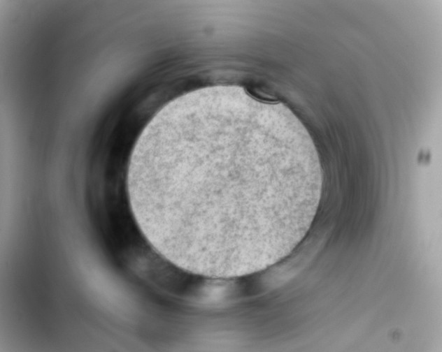 X0000103160240200809192101