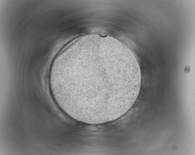 X0000103160241200809192100