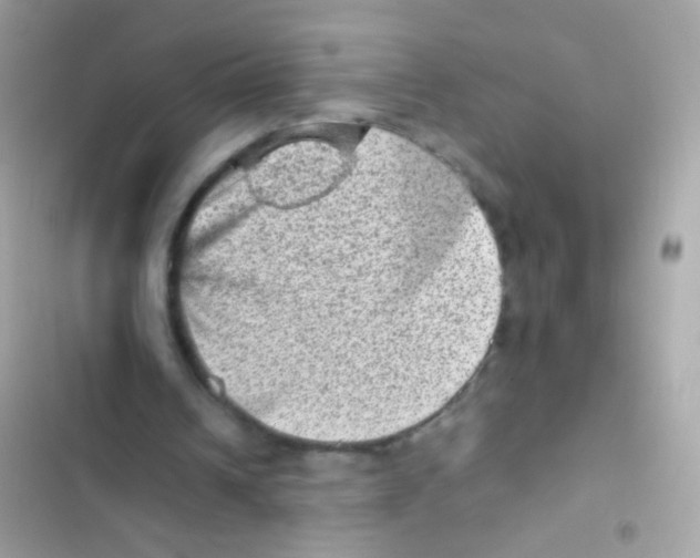 X0000103160242200809192100