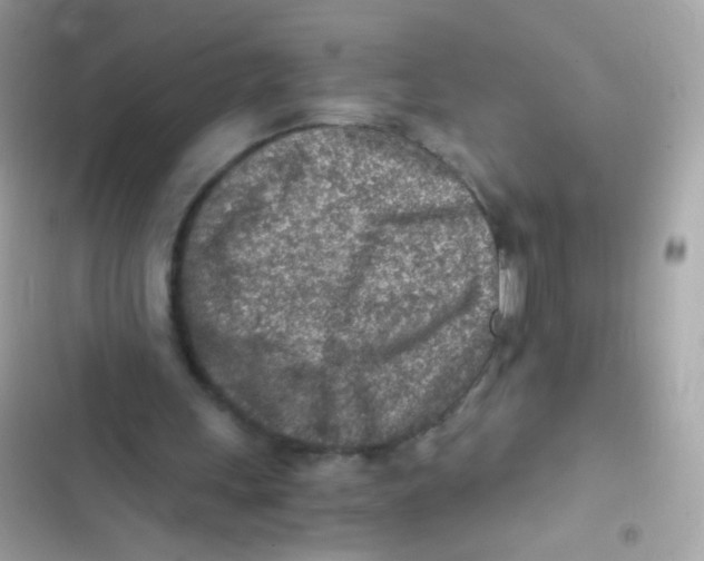 X0000103160243200809192100
