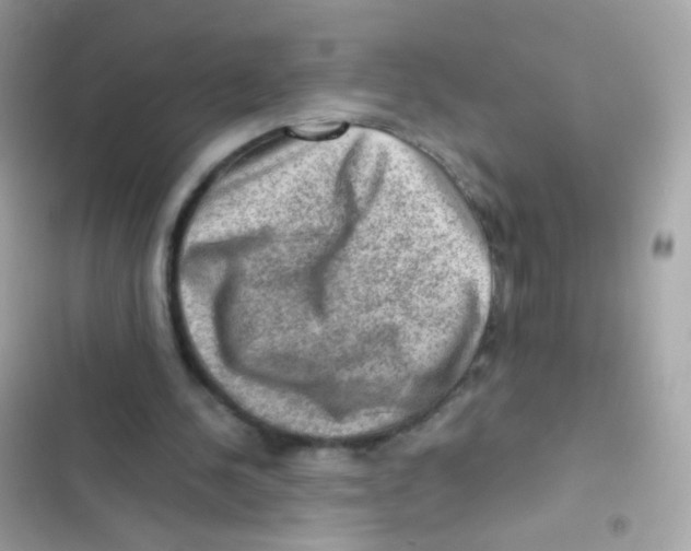 X0000103160244200809192100