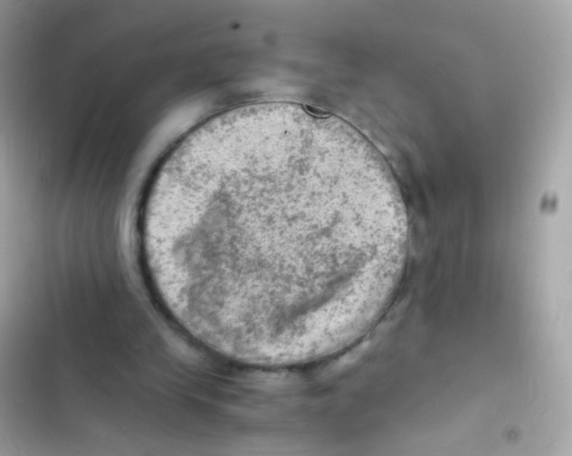 X0000103160245200809192100