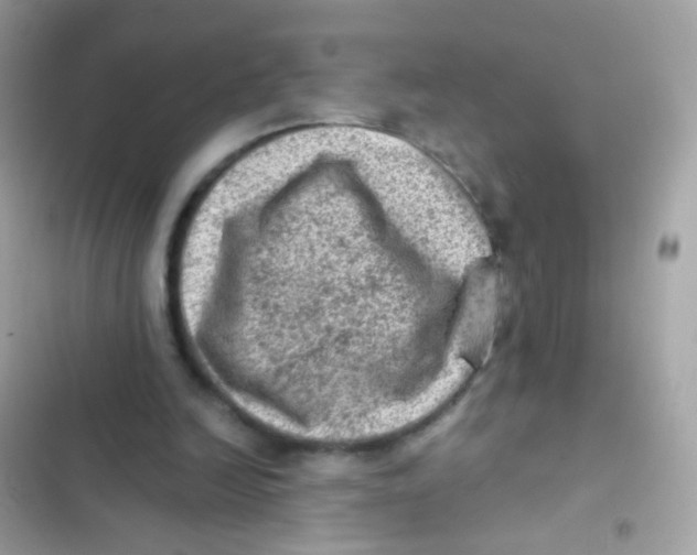 X0000103160246200809192100