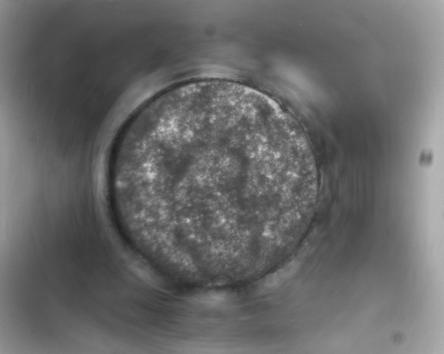 X0000103160247200809192100