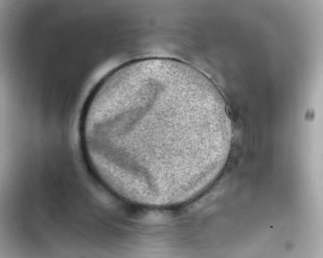 X0000103160248200809192100