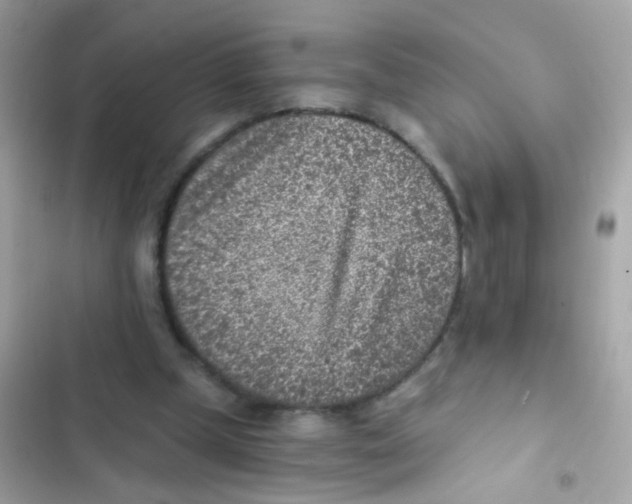 X0000103160249200809192100