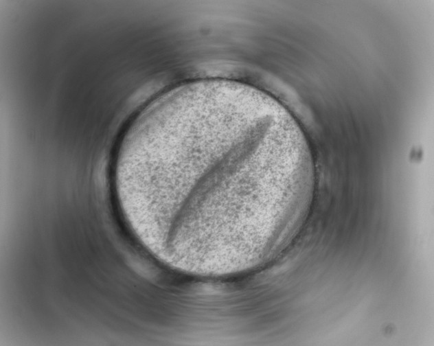 X0000103160250200809192100