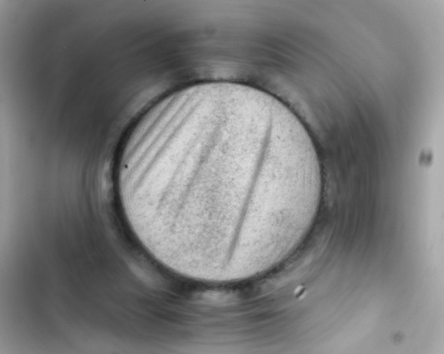 X0000103160251200809192100
