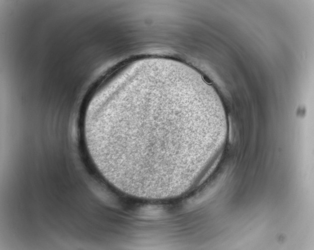 X0000103160252200809192100