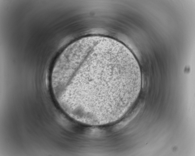 X0000103160253200809192100