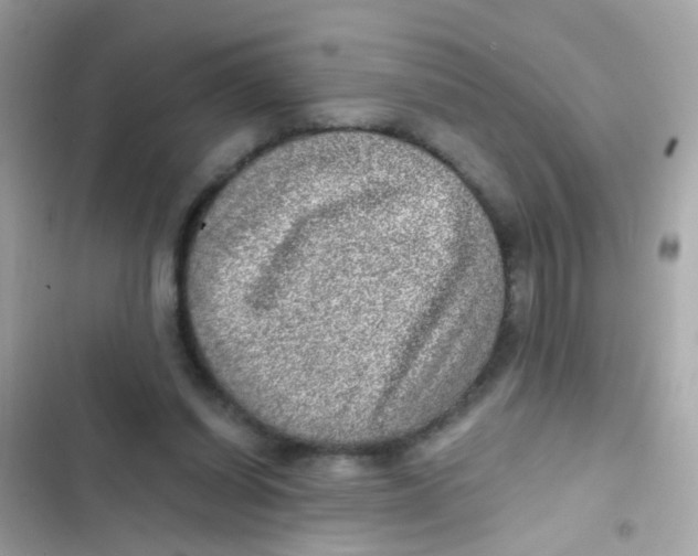 X0000103160254200809192100
