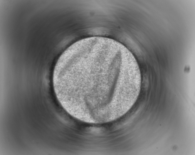 X0000103160255200809192100
