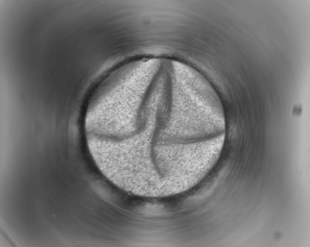 X0000103160256200809192100