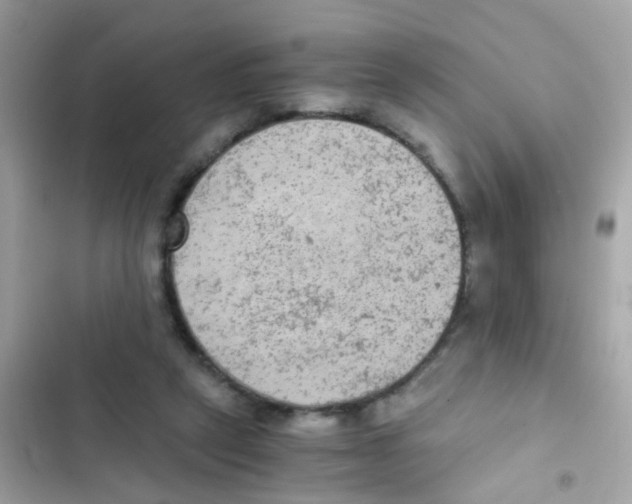 X0000103160257200809192100