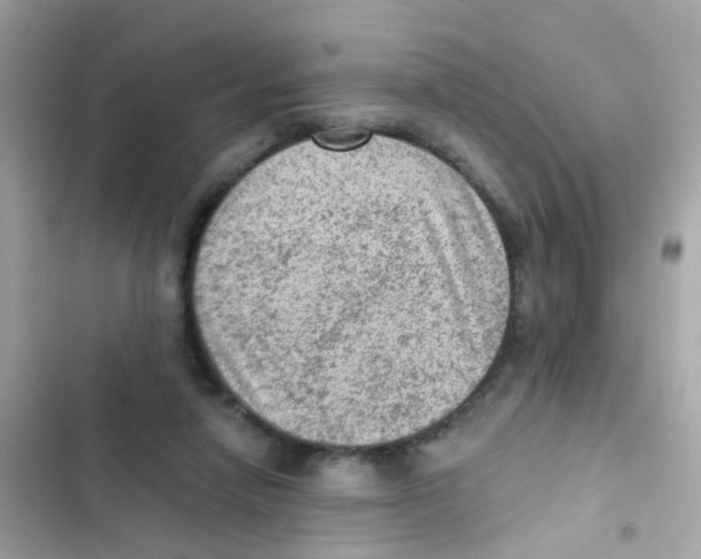 X0000103160258200809192100