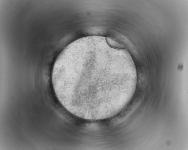 X0000103160259200809192100