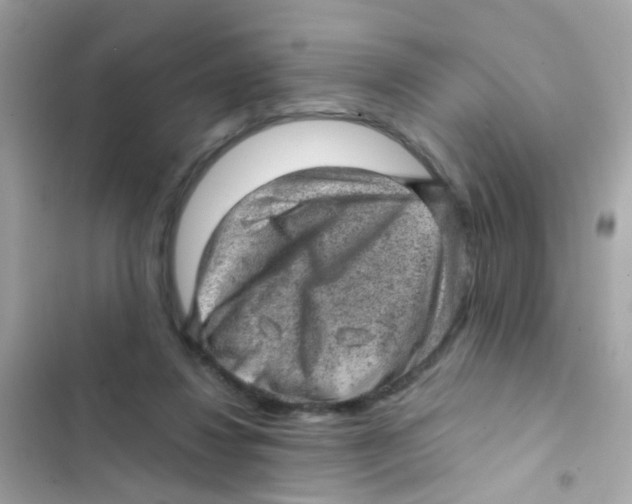 X0000103160260200809192100