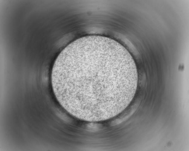 X0000103160261200809192100