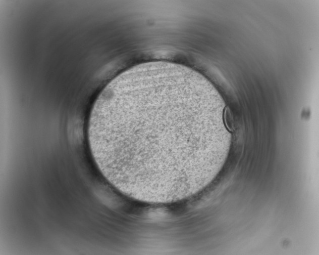 X0000103160262200809192100