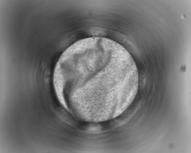 X0000103160263200809192100