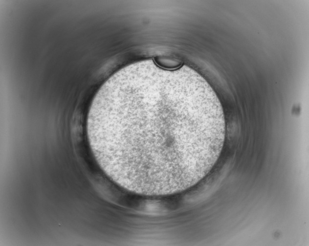 X0000103160264200809192100