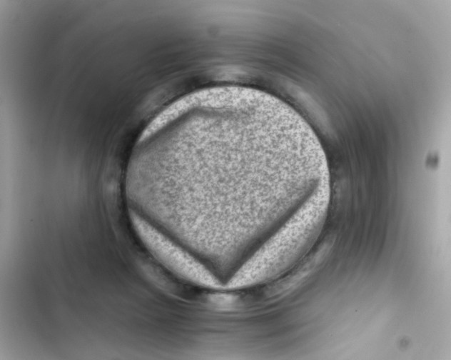 X0000103160265200809192100