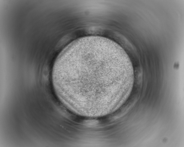 X0000103160266200809192100