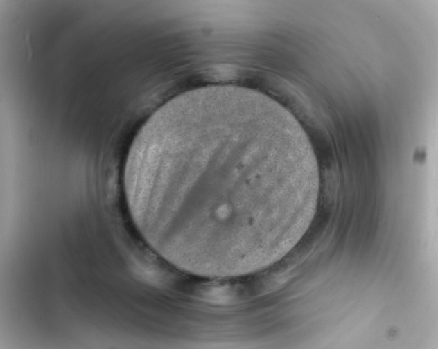 X0000103160267200809192100