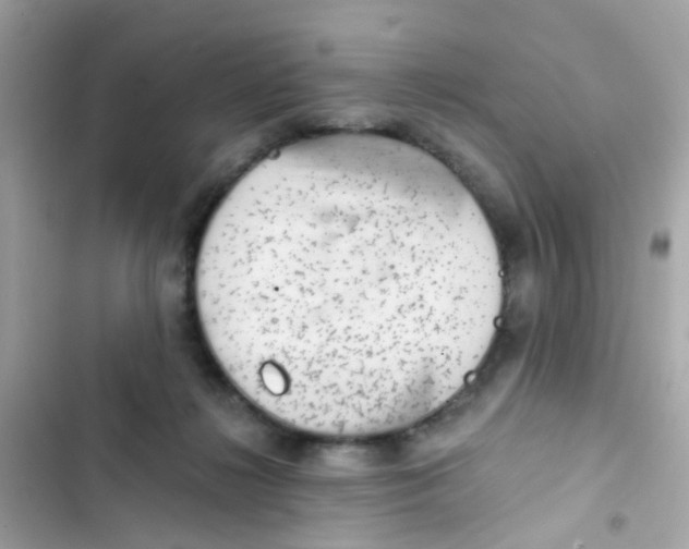 X0000103160268200809192100