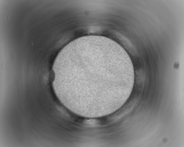 X0000103160269200809192100