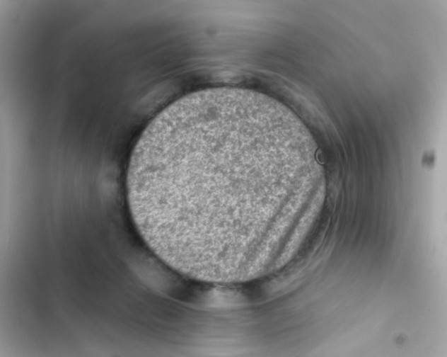 X0000103160270200809192100