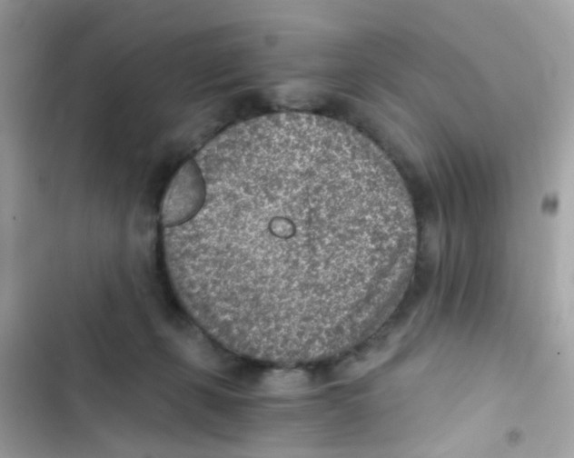 X0000103160271200809192100