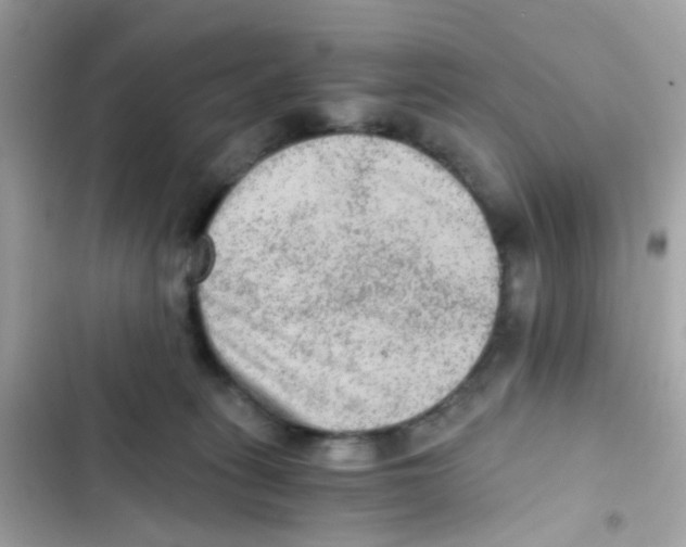 X0000103160275200809192100
