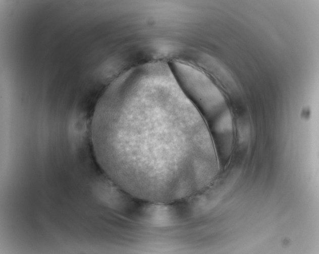 X0000103160276200809192100
