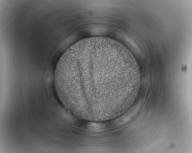X0000103160277200809192101