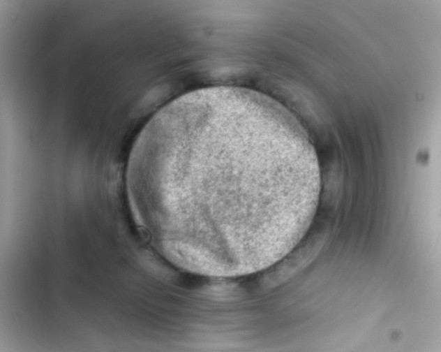 X0000103160278200809192101