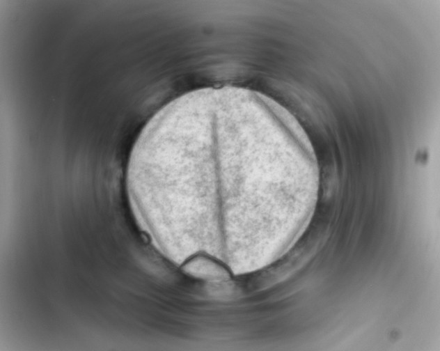 X0000103160279200809192101